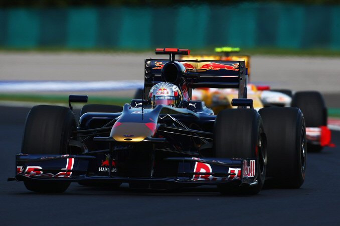 toro_rosso.jpg'
