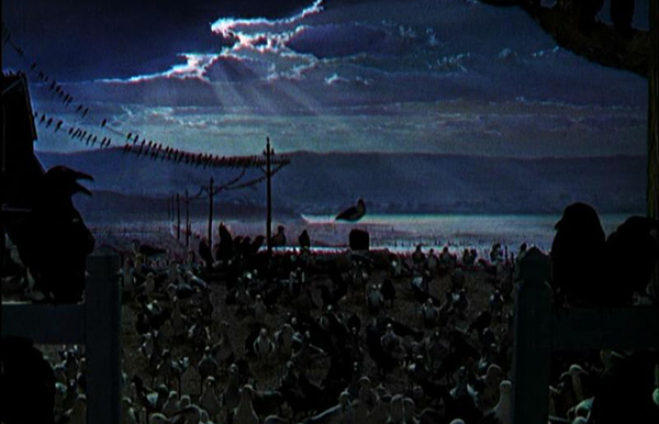 Alfred-Hitchcock-the-birds